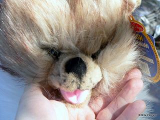 Realistic 19 Stuffed Pomeranian Dog Big Plush Animal