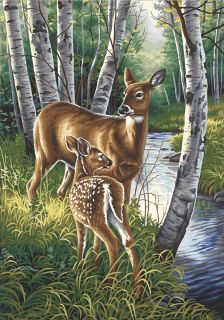  deer dimensions paint works paint by number kit white tailed deer