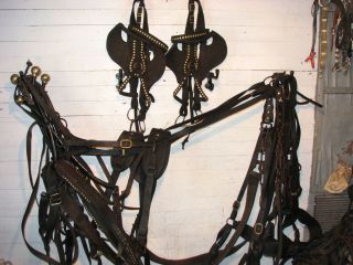 Draft Horse / Mule Team Harness With Lines And Batwing Bridles