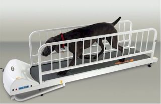 NEW PETRUN PR725 DOG TREADMILL PET FOLDING UP TO 175 LBS WITH FREE