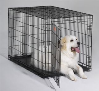 New 42 Folding Dog Crate Kennel Cage W/ Divider Midwest iCrate 1542