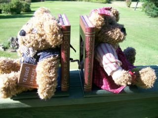 Cute Plush Teddy Bear Book Ends Wooden Base Childs Girls Boys Decor