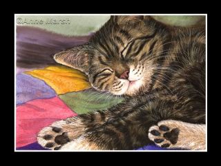 Tabby Cat Sweet Dreams Print of Painting Anne Marsh Art