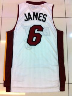 LeBron James Miami Heat #6 AUTHENTIC REV30 White Home Jersey