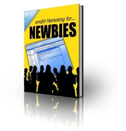 email marketing for newbies 114 pages of no restriction plr everything