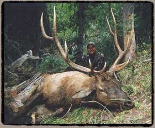 idaho elk hunting, elk hunting outfitters, Idaho outfitters, Hunting