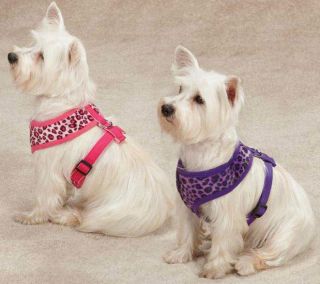  Leopard Soft Dog Harness Harnesses East Side Collection Pet