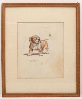 Well Listed Artist Edwin Megargee Watercolor of Bulldog   Signed