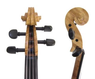  Salo Concert Violin 2595 Engelman Spruce  Platinum Seller