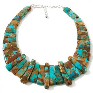 Jay King Boulder Turquoise Sterling Silver 15 1/4 Collar Necklace at