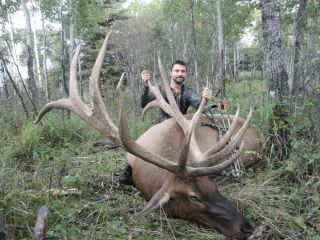 Trophy Rocky Mountain Elk Hunt for 2 Hunters 100 Guaranteed