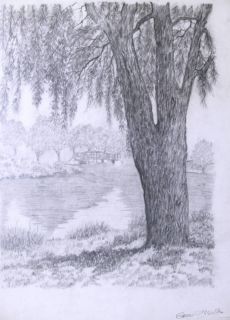  Eugene O"Neill Willow Tree Drawing Free SHIP