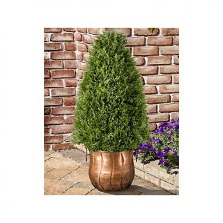  cone artificial topiary rating 1 $ 139 99 or 3 flexpays of $ 46 66 s h