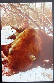 Kodiak AK Largest Kodiak Bear Ever Killed ALF Madsen