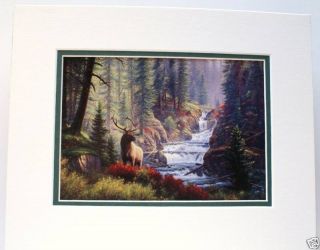 Bull Elk Falls by Mark Keathley Waterfall Wildlife