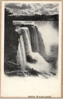 Terrapin Rock and Horse Shoe Fall Niagara Falls New York UDB Vintage