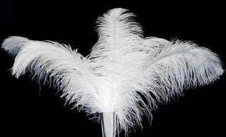 18 White Ostrich Feather Plume Wedding Centerpiece