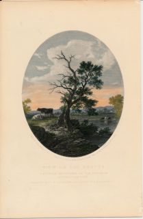 Esopus Creek Catskill Mountains New York C 1850 Original Antique