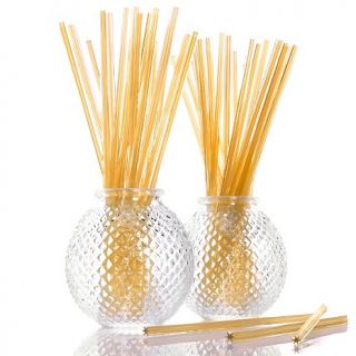 Joy Mangano Forever Fragrant Glass Vase Set with Sticks