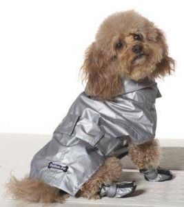 fashion pet dog rain jacket urban slicker silver sm