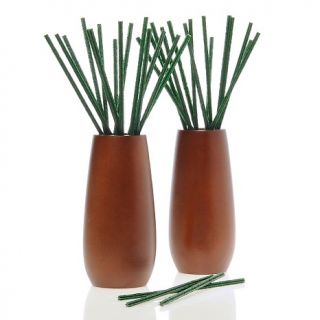 Joy Mangano Forever Fragrant Odor Eliminating Wood Vase Set