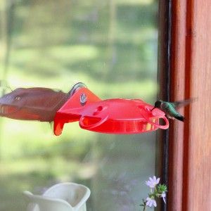 Garden Song® Window Mount Hummingbird Feeder Mod HBW1