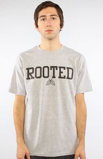 ELM The Rooted Army Tee in Heather Gray