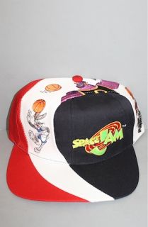 And Still x For All To Envy Vintage 1996 Space Jam snapback hat NWT