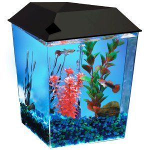  Gallon Tank Aquarium System Fish Pet Supply Fresh Water Small Kids
