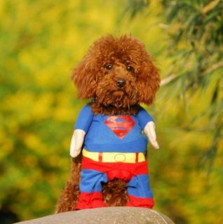 New Fashion Pet Cat Dog Puppy Cotton Clothes Costumes Superman Size XS
