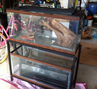 Fish Tanks with Stand