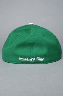 Mitchell & Ness The NFL Throwback Alternate Logo Fitted Hat in Green
