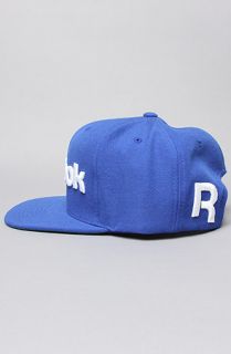 Reebok The Workout Snapback Cap in Ice