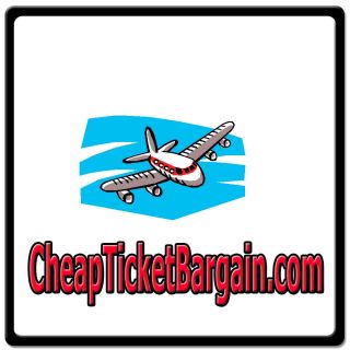   Bargain com ONLINE WEB DOMAIN FOR SALE TRAVEL AIRLINE PLANE FARES