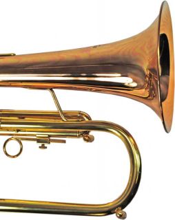 Schiller Flugelhorn Centertone Rose Brass