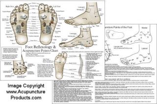 11 double sided laminated foot reflexology chart