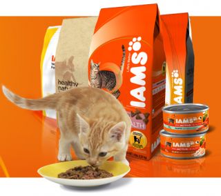 Free Iams Cat or Dog Food Bag Rebate Form Coupon ♥ 6 30