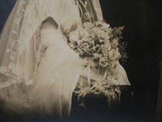 X374 Vintage Matted Wedding Photo Bride Elegant Lace Veil