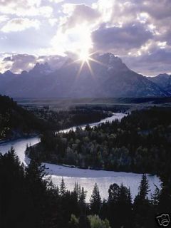 Forest Mountain Sun and River Wallpaper Mural