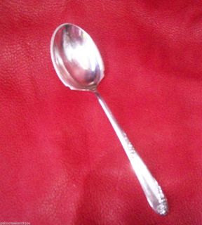 Vintage Antique LUNT Sterling Sweetheart Rose Sugar Shell Spoon X