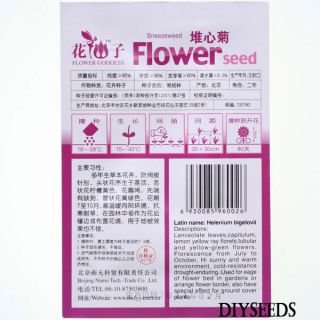 Sneezeweed Ornamental Flower Seed Garden Decor 50pcs 1 Bag DIYSEEDS