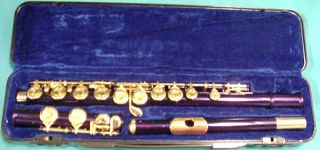 gold plated closed hole flute with selmer flute care kit