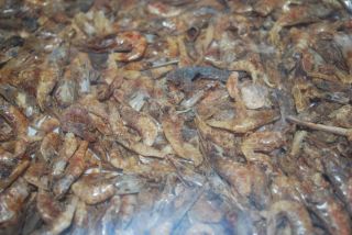 lb Freeze Dried Red Shrimp Fish Turtle Frog Food