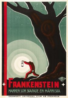 Frankenstein Movie Poster 1931 RARE Hot Vintage