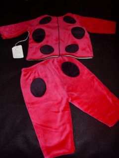 anne geddes baby ladybug outfit jacket pants 6 12 months