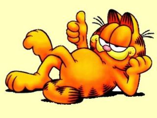 Garfield The Cat   GARFIELD   THE MOVIE Plush Toy Jim Davis (s22)