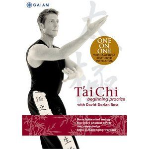 Tai Chi for Beginners Beginning Practice DVD 2004 New