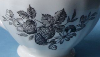  English Ironstone Vintage Dinnerware Gainsborough Rose Creamer