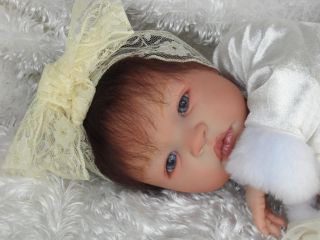 Reborn Baby Shyann by Aleina Peterson Gorgeous Christmas Dress Must