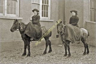 AH010 Woman Girl Horse Pony Riding Side Saddle Sidesaddle 1910s Photo